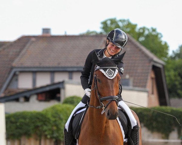 dressage horse Lord William 10 (KWPN (Royal Dutch Sporthorse), 2016, from Fuerst William Old)