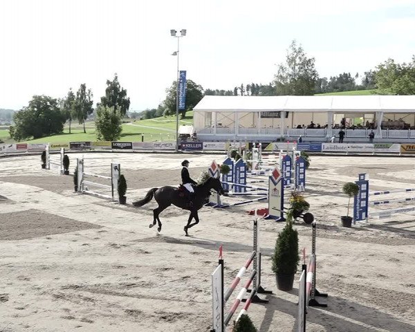 Reitturnier Humlikon 2022