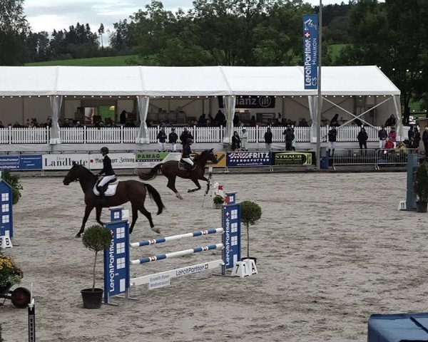 Reitturnier Humlikon 2022