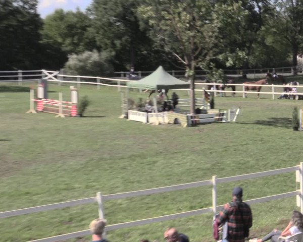 Reitturnier Müncheberg 2022