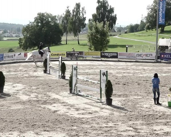 Reitturnier Humlikon 2022