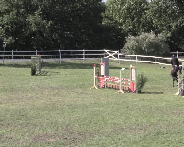 Reitturnier Müncheberg 2022