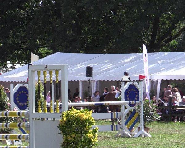 Reitturnier Hamburg-Bergstedt 2022