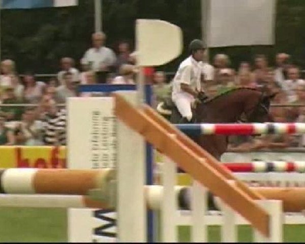 jumper Le Conte (Holsteiner, 2001, from Lancer II)