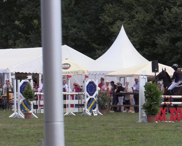 Reitturnier Hamburg-Bergstedt 2022