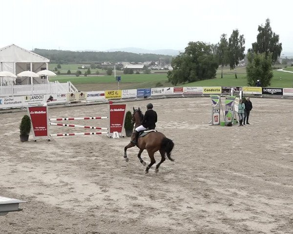 Reitturnier Humlikon 2022