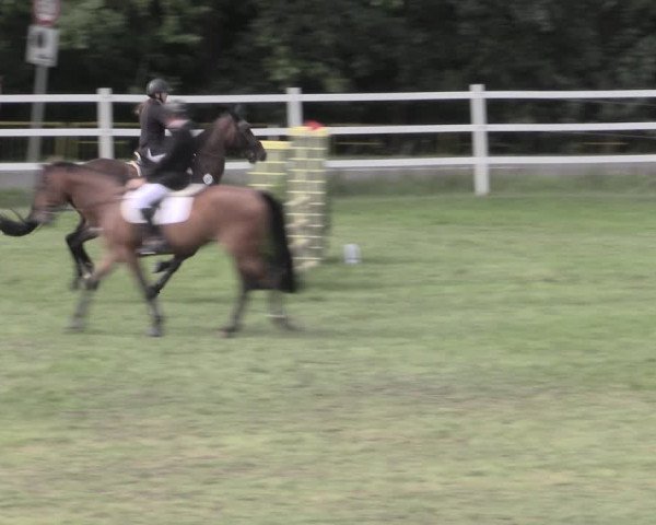 Reitturnier Müncheberg 2022