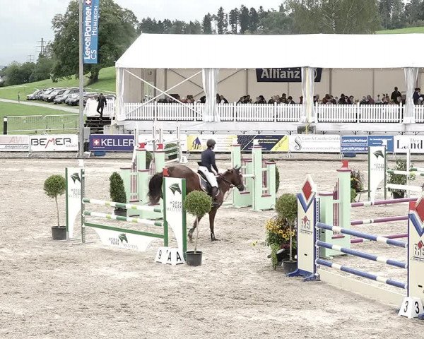 Reitturnier Humlikon 2022