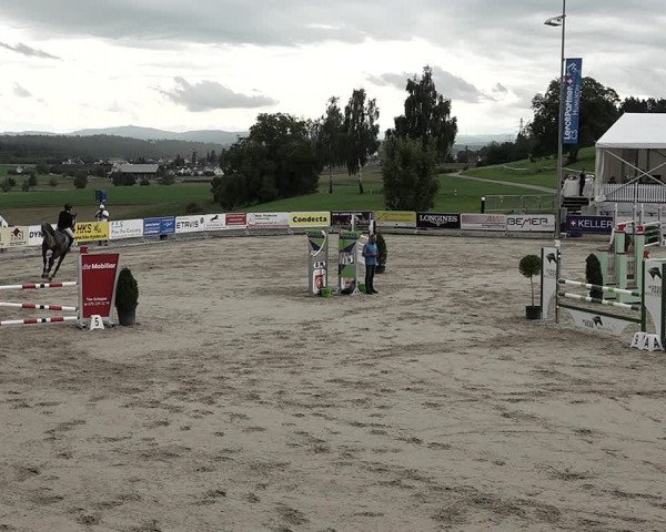 Reitturnier Humlikon 2022