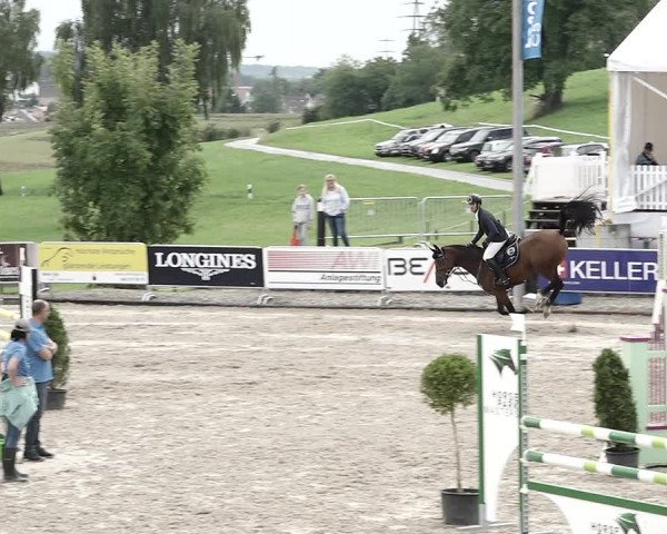 Reitturnier Humlikon 2022