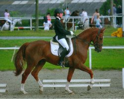 dressage horse Jo Fuchsberger (Westphalian, 2007, from Fuchsberger)