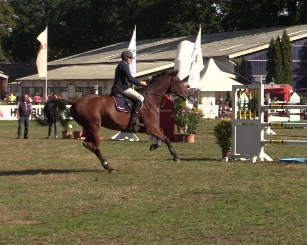 Reitturnier Hamburg-Bergstedt 2022