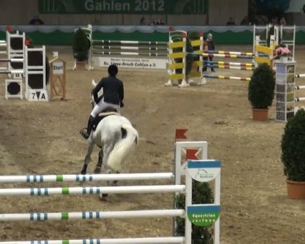 jumper Loquito Gl (Rhinelander, 1999, from Lehnsherr GL)