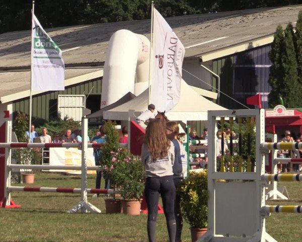Reitturnier Hamburg-Bergstedt 2022