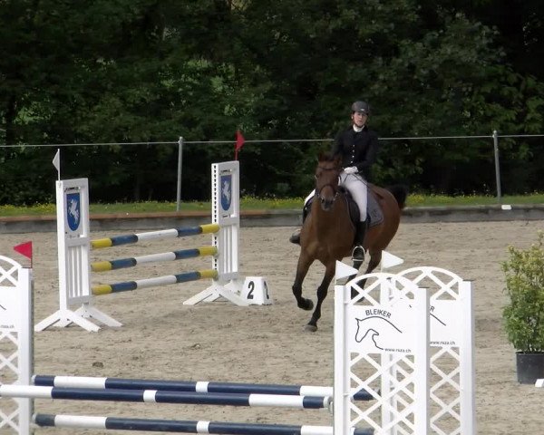 Reitturnier Maienfeld 2022
