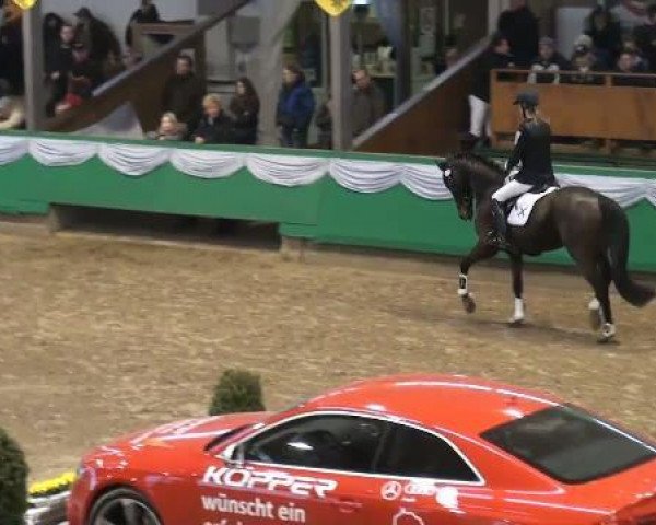 jumper Osasco (Westphalian, 2003, from Ocos xx)