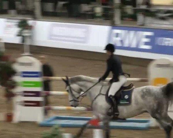 jumper Levisto 6 (Mecklenburg, 2005, from Lancado)
