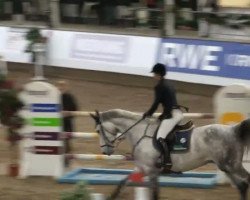 jumper Levisto 6 (Mecklenburg, 2005, from Lancado)
