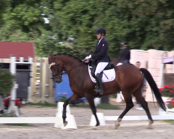Reitturnier Müncheberg 2022
