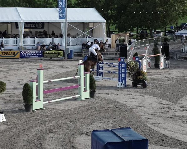 Reitturnier Humlikon 2022