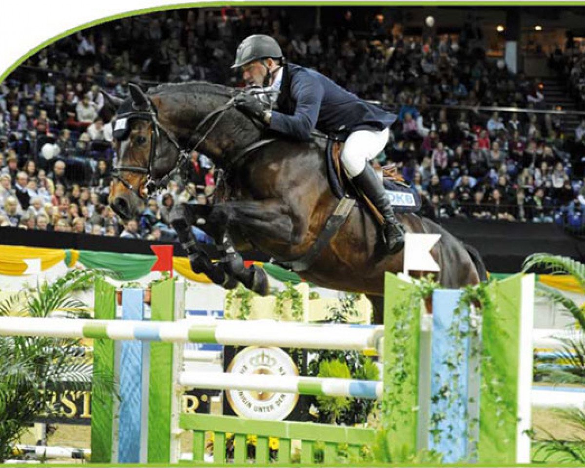 stallion Abke 4 (Hanoverian, 1999, from Acorado I)