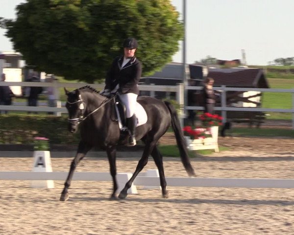 Reitturnier Müncheberg 2022