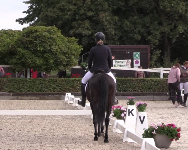 Reitturnier Müncheberg 2022
