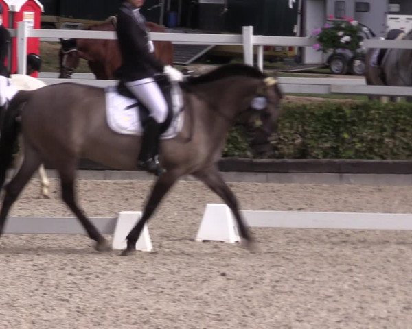 Reitturnier Müncheberg 2022