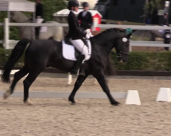 Reitturnier Müncheberg 2022
