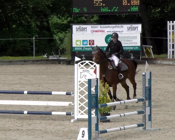 Reitturnier Maienfeld 2022