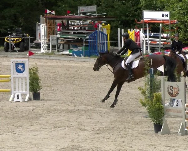 Reitturnier Maienfeld 2022
