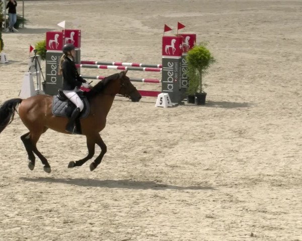 Reitturnier Maienfeld 2022