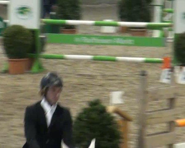 jumper Karlo 38 (Saxony-Anhaltiner, 2001, from Kolibri 2705)
