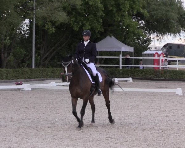 Reitturnier Müncheberg 2022