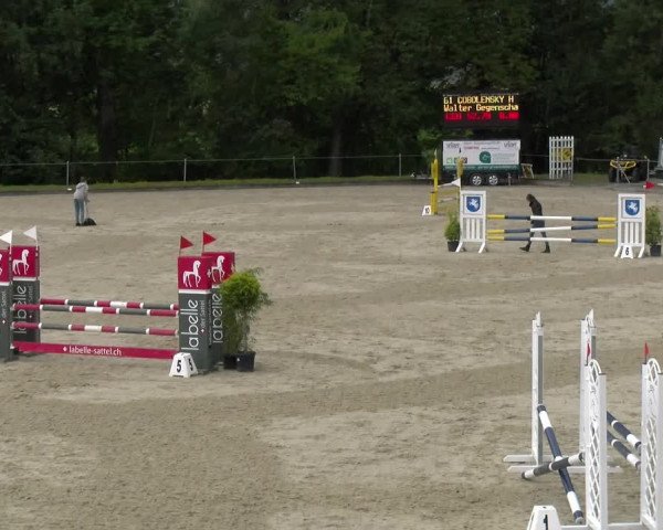Reitturnier Maienfeld 2022
