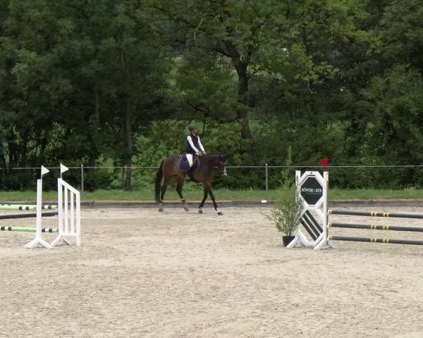 Reitturnier Maienfeld 2022