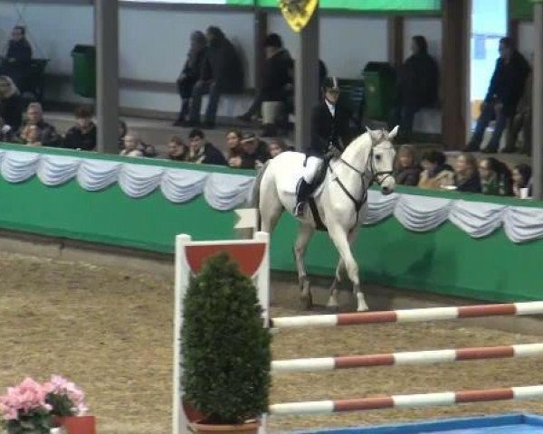 jumper Coronado B (Holsteiner, 2001, from Coronado I)