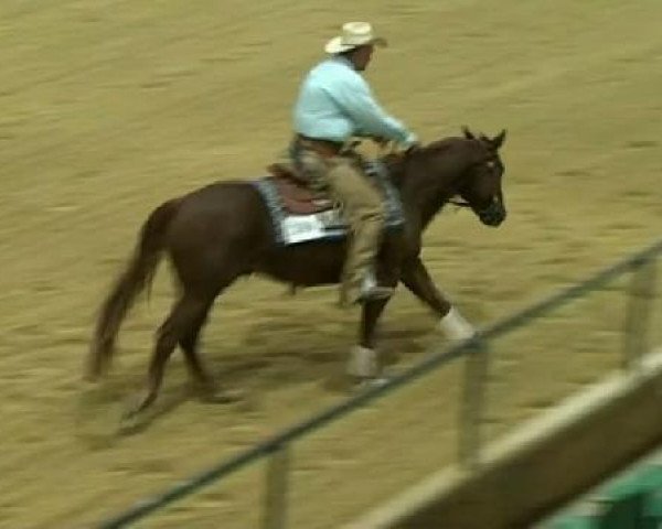 horse Bucky's Little Red (Quarter Horse, 2007, from Reds Gonna Rein)