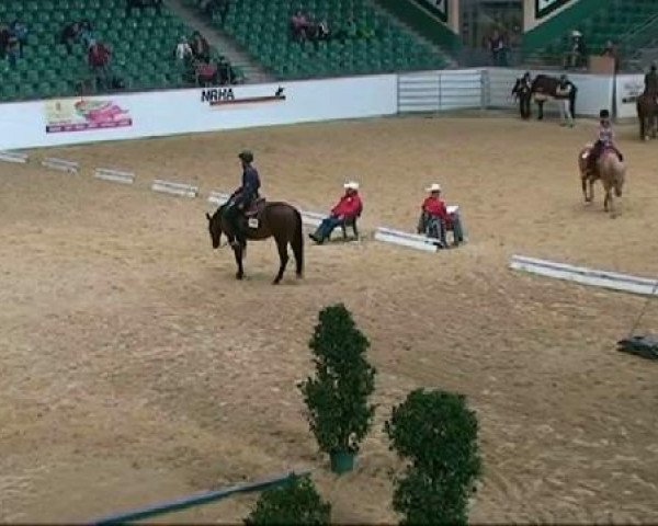 horse Smokin Nelly Olena (Quarter Horse, 2003, from Lena Cielo)