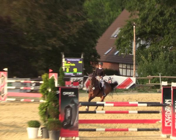 Reitturnier Vlotho-Valdorf 2022