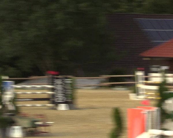 Reitturnier Vlotho-Valdorf 2022