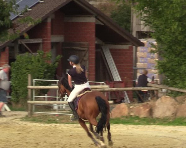 Reitturnier Vlotho-Valdorf 2022