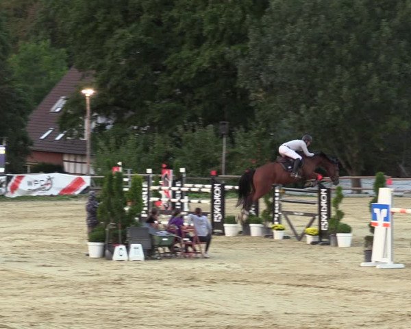 Reitturnier Vlotho-Valdorf 2022