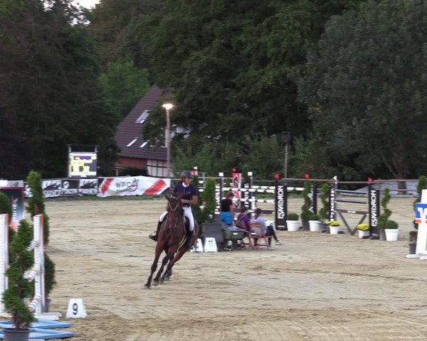 Reitturnier Vlotho-Valdorf 2022