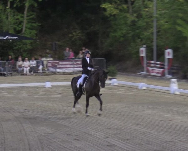 Reitturnier Köln-Flittard 2022