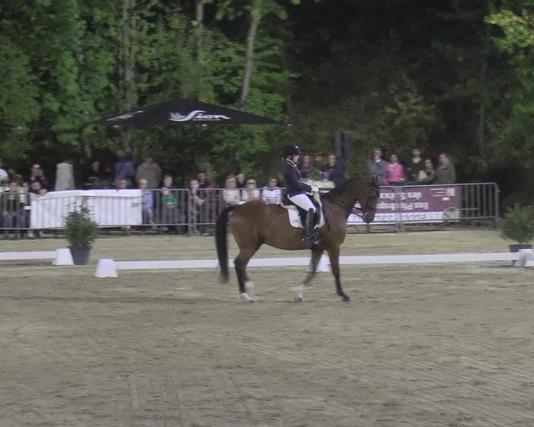 Reitturnier Köln-Flittard 2022