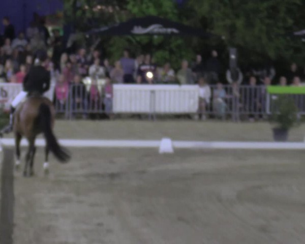 Reitturnier Köln-Flittard 2022