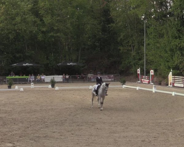 Reitturnier Köln-Flittard 2022