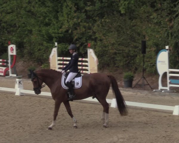 Reitturnier Köln-Flittard 2022