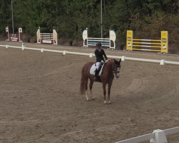 Reitturnier Köln-Flittard 2022